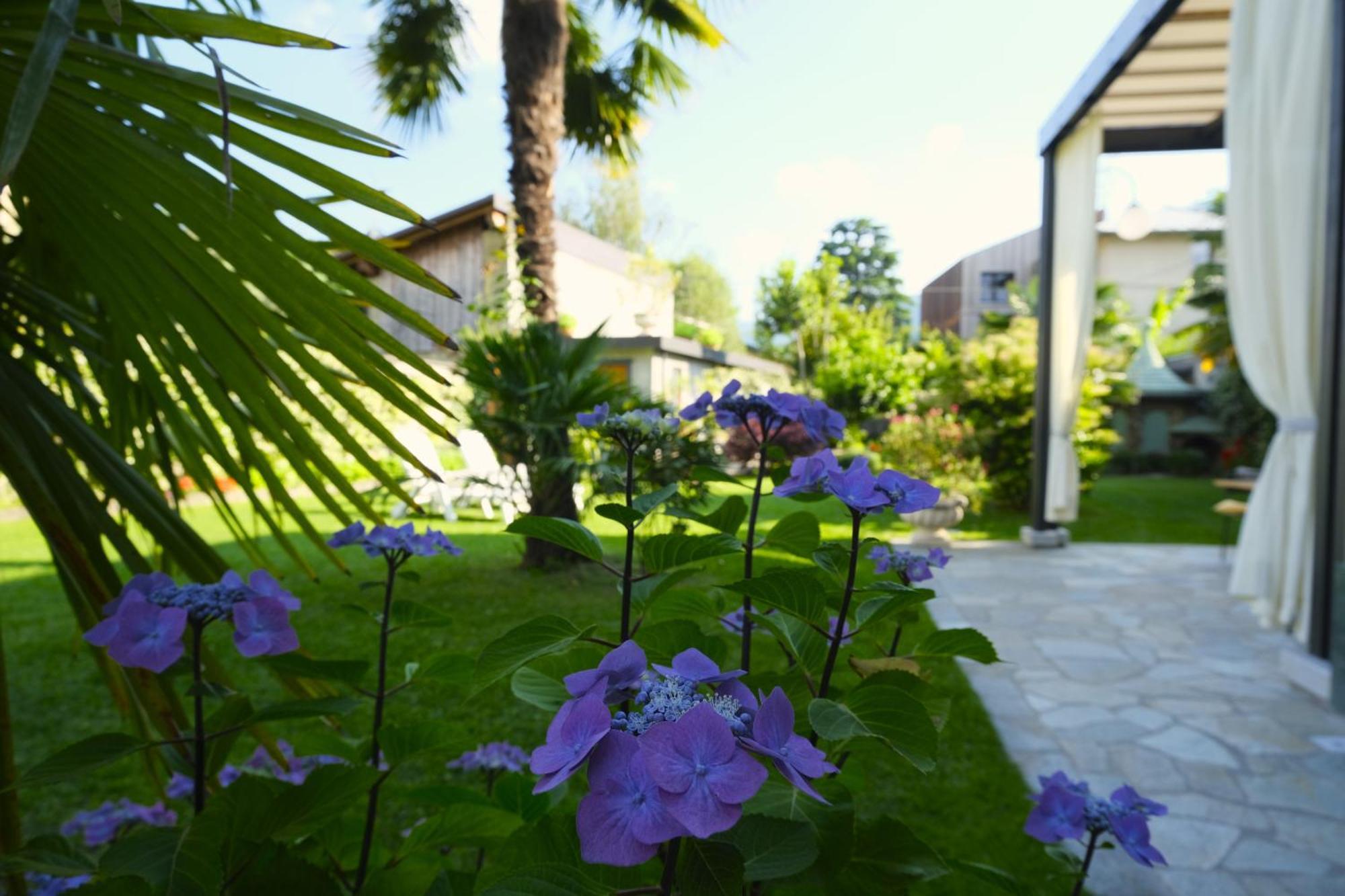 مانديلو ديل لاريو Residenza Laurum المظهر الخارجي الصورة